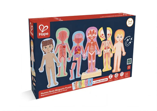 hape human body magnetic puzzle