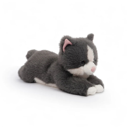 One love - Misty grey cat