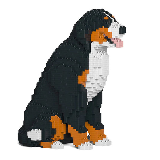 Jekca - Bernese Mountain Dog 05SB