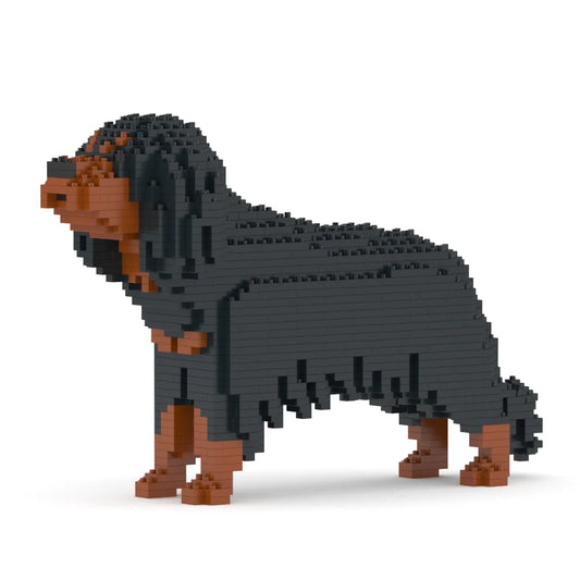 Jekca - Cavalier King Charles Spaniel 01-M04
