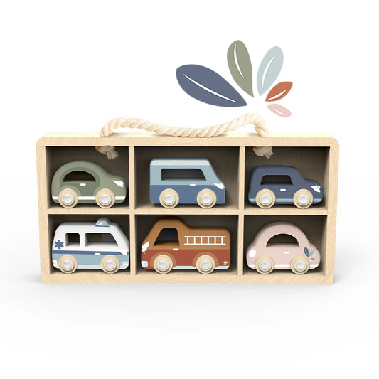 car display case - speedy monkey