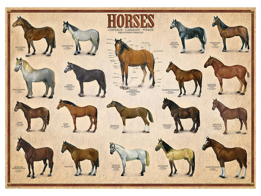 Horses 1,000 piece puzzle