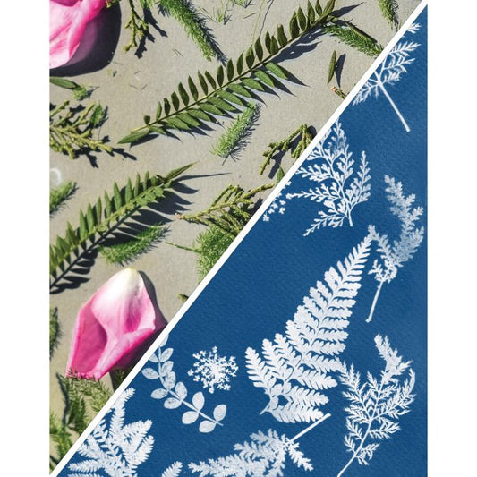 cyanotype - sun photography