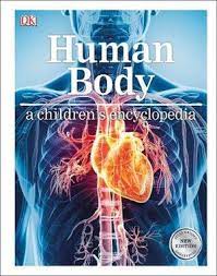 Human Body- a children's encyclopedia