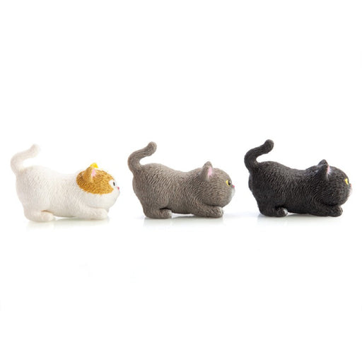 stretch cat
