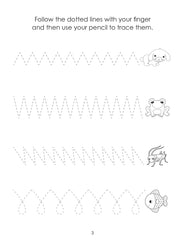Little genius Vol 2  - Pencil skills activity pad