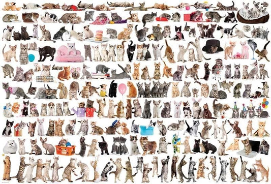 the world of cats puzzle 2000pcs