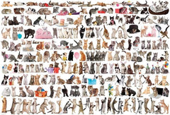 the world of cats puzzle 2000pcs