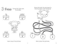 Little genius Vol 2  - Small activity pad- 123 fun ages 3-4