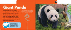chunky tabbed board book - Wild animals