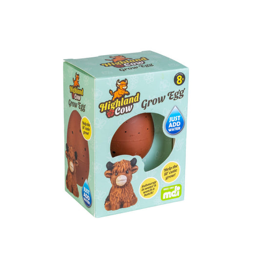 Highland cow grow egg