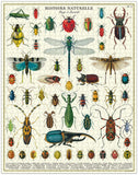 bug & insect vintage puzzle 1000piece