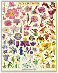 Vintage puzzle - flora specimens 1000pc