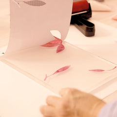 Citrus gel printing kit