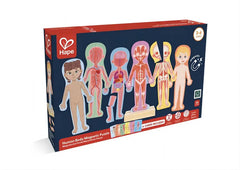 hape human body magnetic puzzle