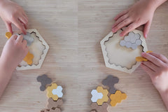 wooden hexagon & pentomino brainteaser puzzle