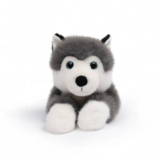 One love  - Scout husky