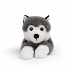 One love  - Scout husky