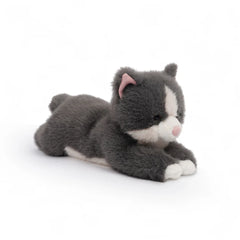 One love - Misty grey cat