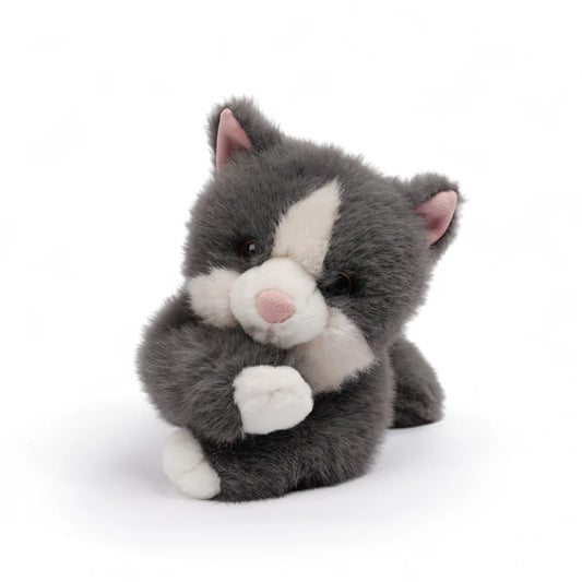 One love - Misty grey cat