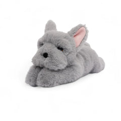 One love - Remy French Bulldog