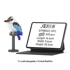 Jekca - Kookaburra 01S-M02