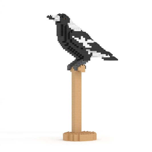 Jekca - Australian Magpie 01S
