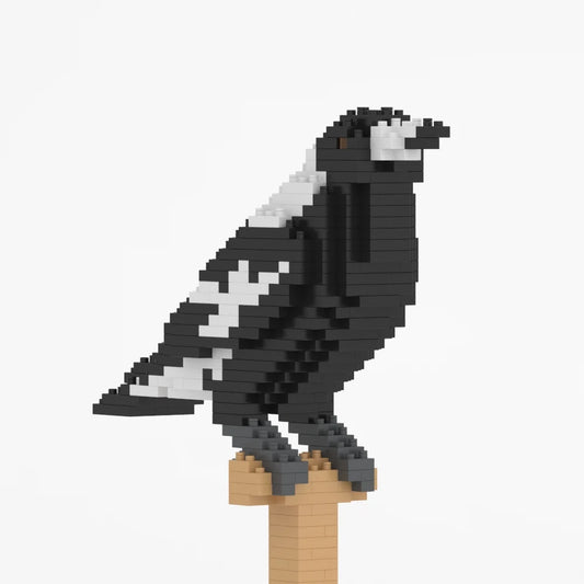 Jekca - Australian Magpie 01S