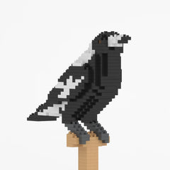 Jekca - Australian Magpie 01S
