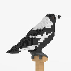Jekca - Australian Magpie 01S
