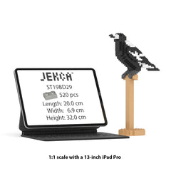 Jekca - Australian Magpie 01S