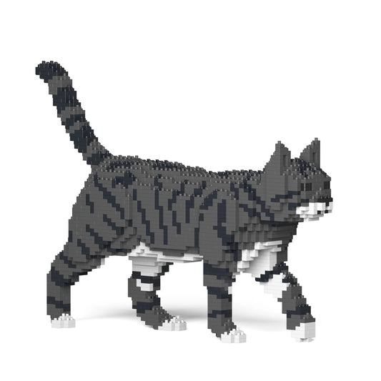 Jekca - Cat 03S-M02