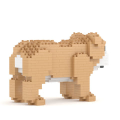 Jekca English Bulldog Mini 01S