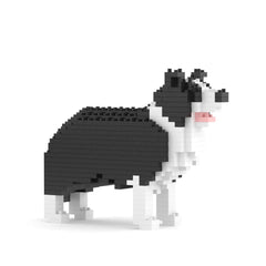 Jekca - border collie mini