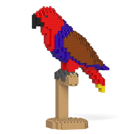 Jekca - Eclectus 01S