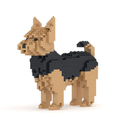 Jekca - Yorkshire Terrier 01