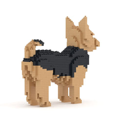 Jekca - Yorkshire Terrier 01