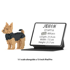 Jekca - Yorkshire Terrier 01