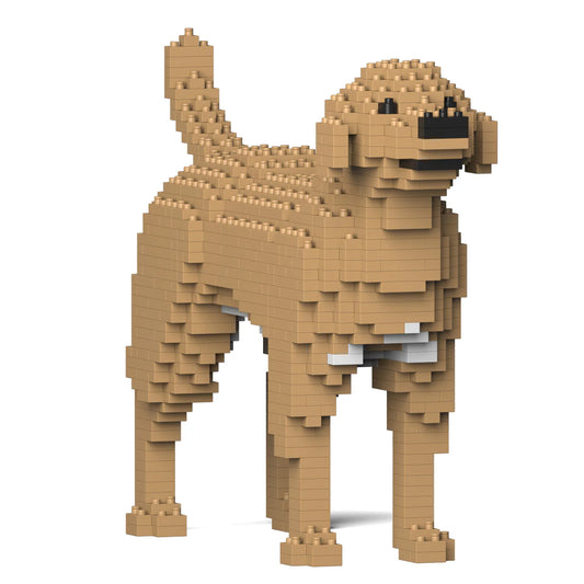 Jekca - Labrador Retriever Fawn 01S-M04