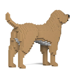 Jekca - Labrador Retriever Fawn 01S-M04