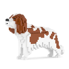 Jekca - Cavalier King Charles Spaniel 01-M01