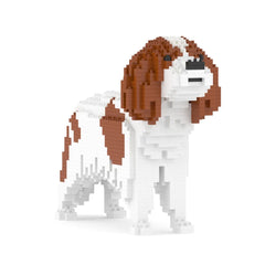 Jekca - Cavalier King Charles Spaniel 01-M01