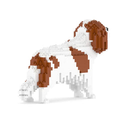 Jekca - Cavalier King Charles Spaniel 01-M01