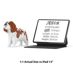 Jekca - Cavalier King Charles Spaniel 01-M01