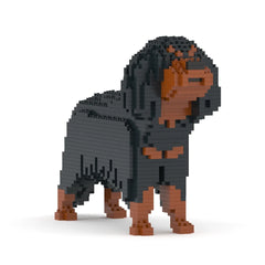 Jekca - Cavalier King Charles Spaniel 01-M04