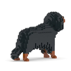 Jekca - Cavalier King Charles Spaniel 01-M04