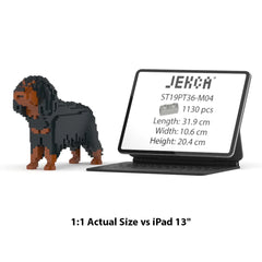 Jekca - Cavalier King Charles Spaniel 01-M04
