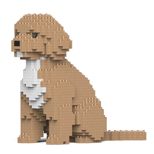 Jekca - Cockapoo