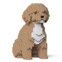 Jekca - Cockapoo