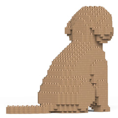 Jekca - Cockapoo
